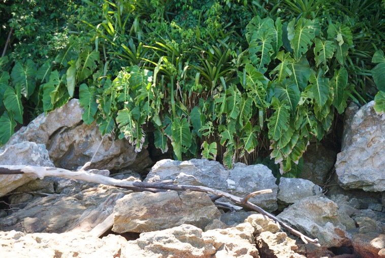 Angra dos Reis (6)