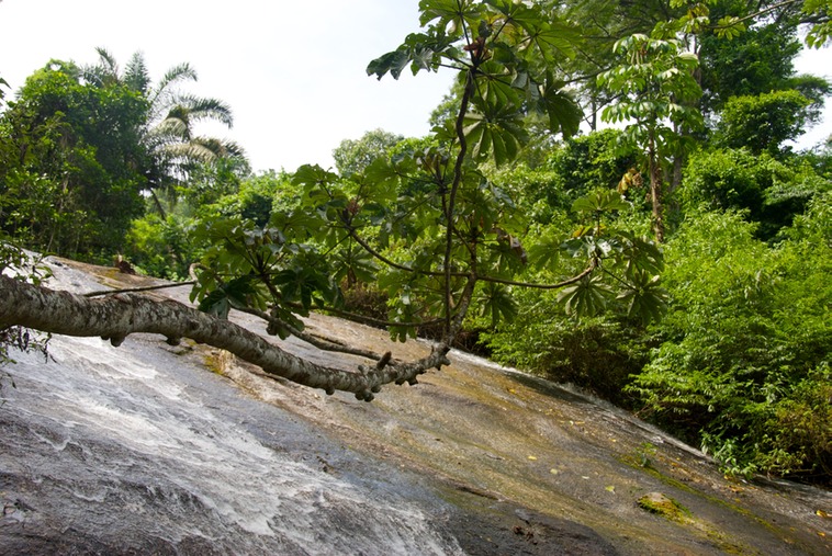 Ilhabela - Cascate 3 Tombo (7)