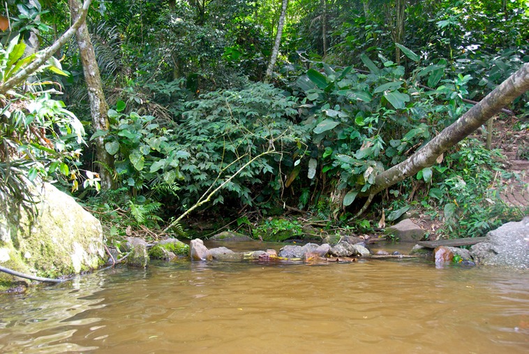 Ilhabela - Cascate 3 Tombo (9)