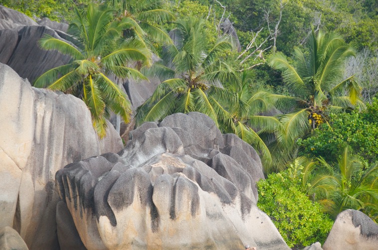 La Digue - Source d'Argent (4)