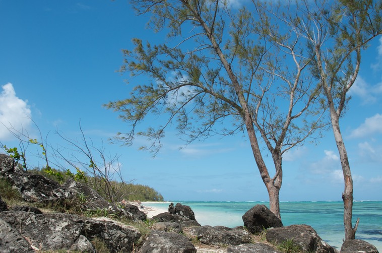 Mauritius - Ile aux Cerfs