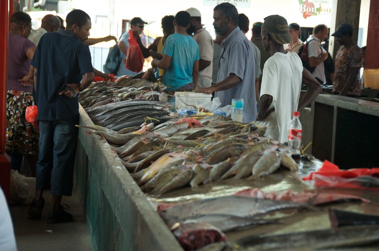 Seychelles - Mercato del pesce (3)