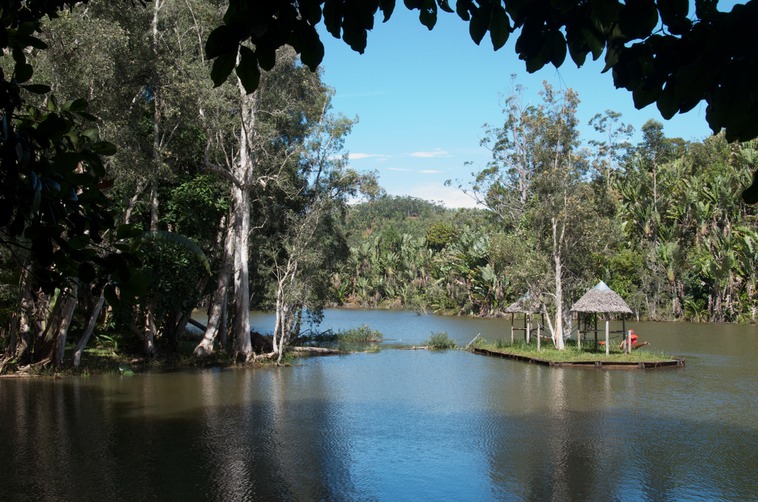 Tamatave - Parco nazionale (1)